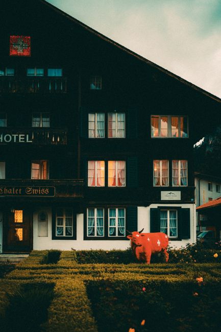 Nighttime exterior view of a multi-story hotel building with dark wooden facade, illuminated window panes showing warm indoor lighting, and a neatly maintained garden with low hedges in the foreground. A bright red cow sculpture is positioned on the lawn, adding a decorative element to the setting. The scene highlights the building's architectural details and well-kept outdoor space, emphasizing cleanliness and presentation, which aligns with the cleaning and maintenance expertise of Carpet Cleaning Swiss Cottage for avoiding hidden charges through transparent service quotes.